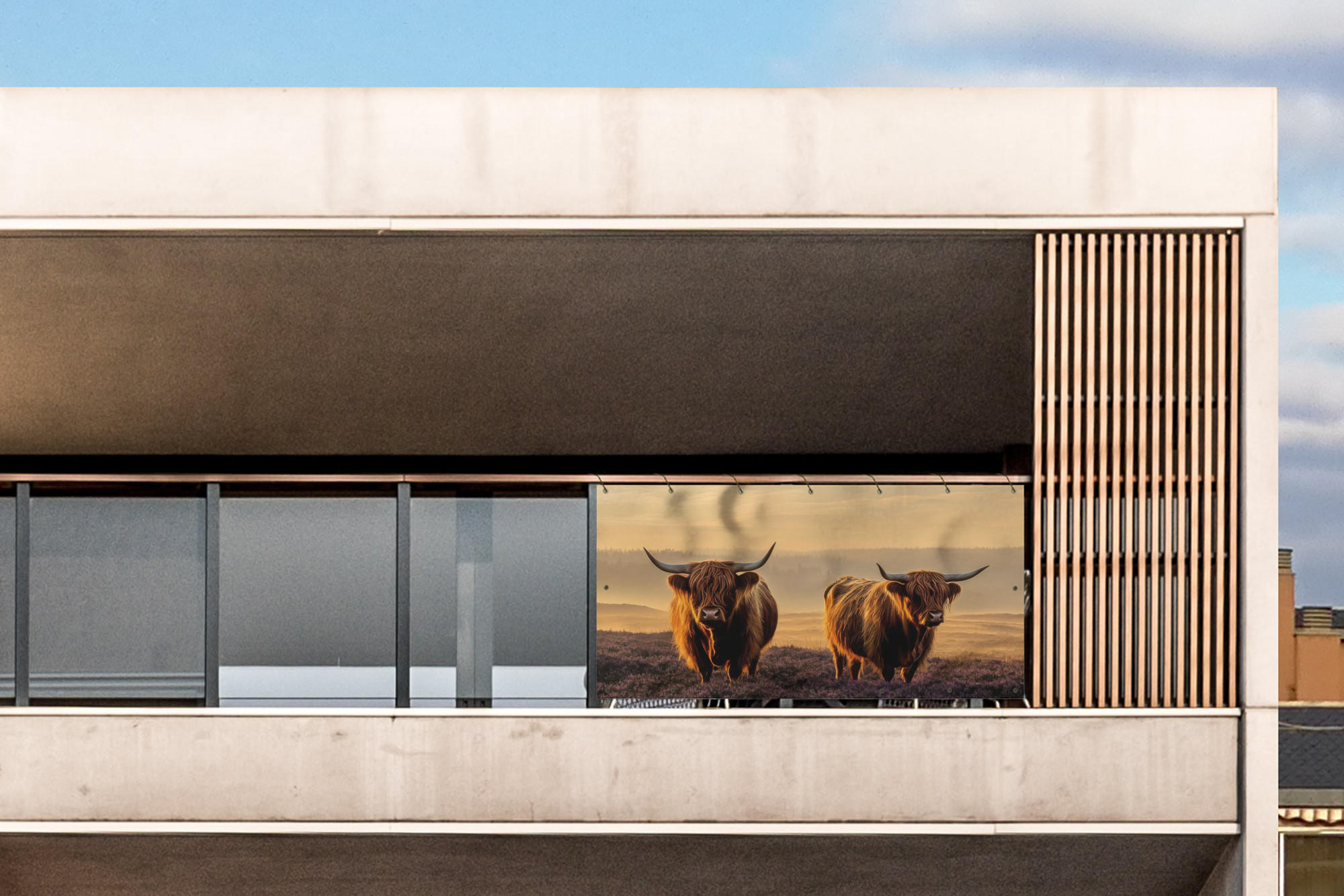 BALKON-SICHTSCHUTZ Schottische Hochlandbewohner - Heide - Landschaft - Tiere - Cognac, Kunststoff (200/90cm) - MuchoWow