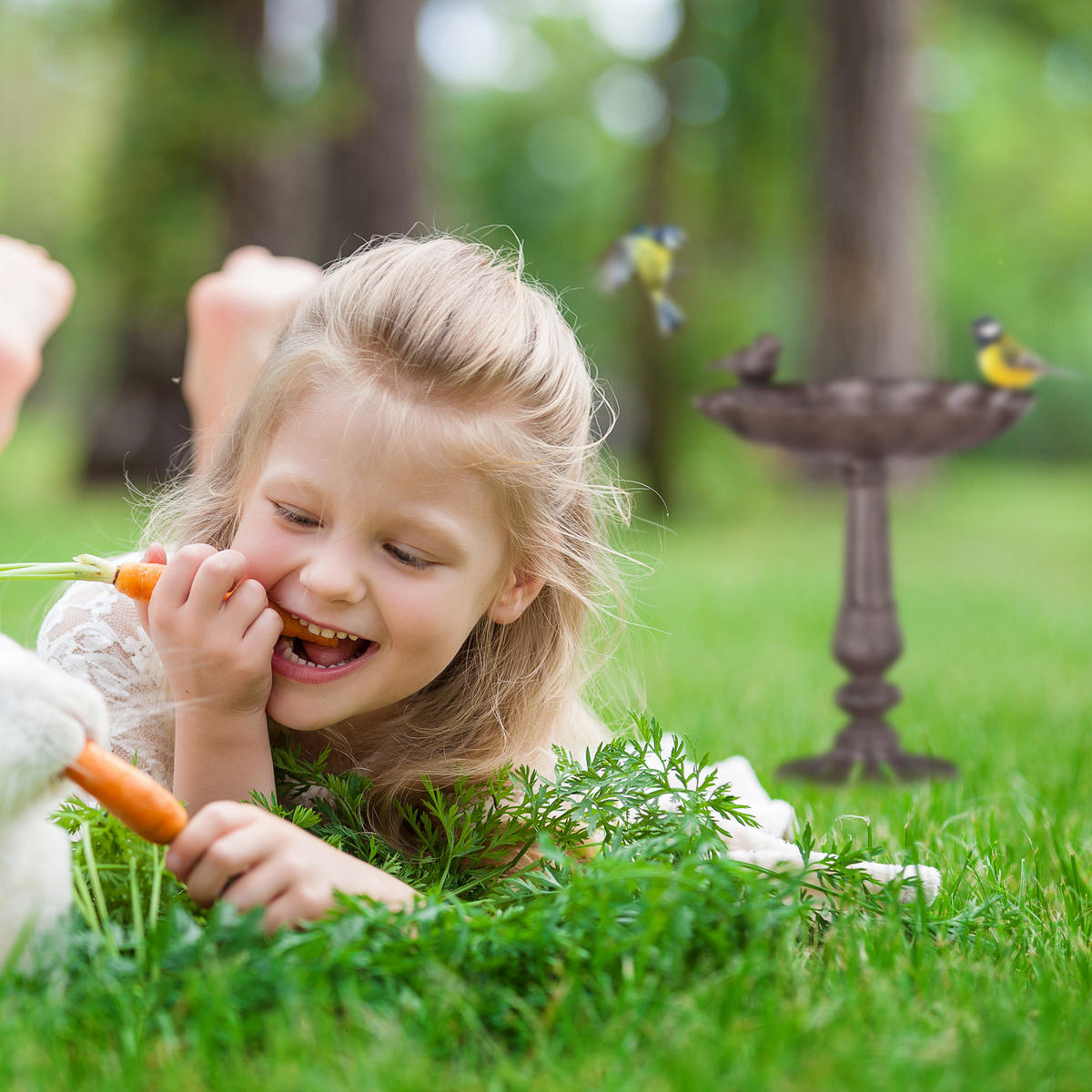 VOGELTRÄNKE - Braun, Metall (22/24.5/18cm) - Relaxdays