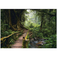 FOTOTAPETE Wald 3D Effekt Natur Wohnzimmer 400x280 - Multicolor, Papier (400/280cm) - Wallarena