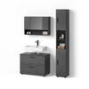 BADMÖBEL-SET Ronco Anthrazit Hochglanz 3 Teile, mit Spiegelschrank 80 cm - Anthrazit, Holzwerkstoff (41/80/58cm) - Livinity®
