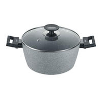 KOCHTOPF Alu Induction Special Edition mit Glasdecke, Aluminium, 24 cm - Silberfarben, Metall (20cm) - Berndes