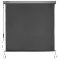 SENKRECHTMARKISE SolVision MS5 1,4/2,5 m Anthrazit - Anthrazit, Kunststoff (140/250/1cm) - Sol Royal