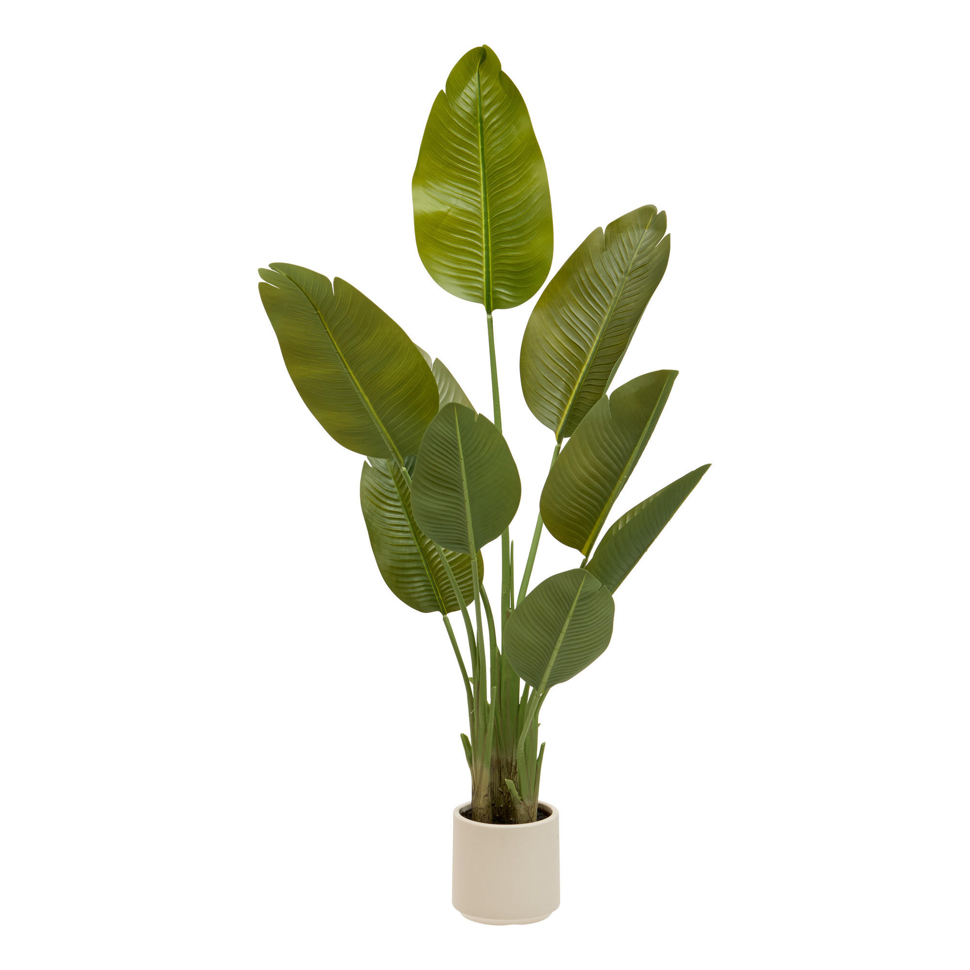 Atmosphera Createur d´interieur Bananenpflanze Grün 140 cm