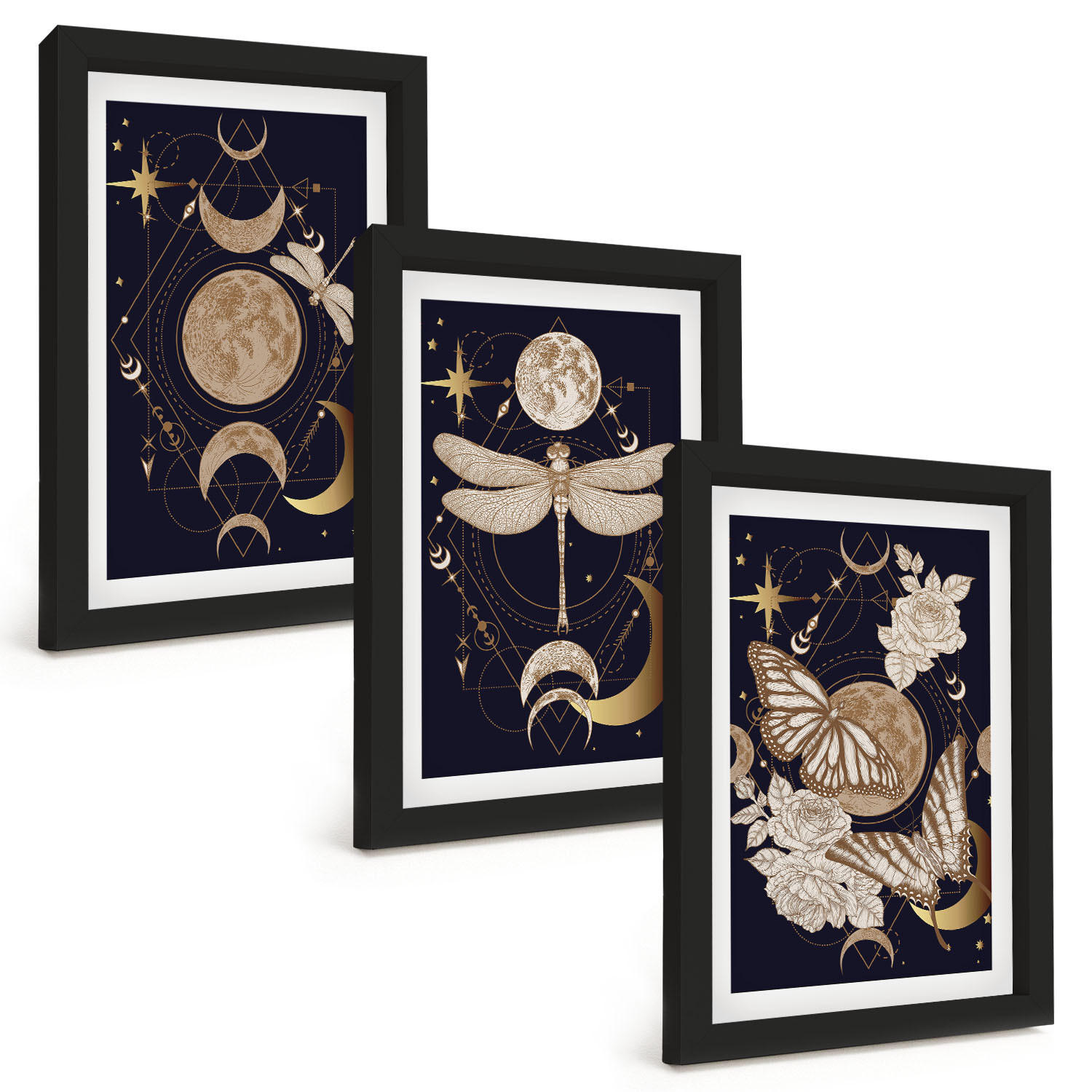 BILDER SET 3er Set - 20x30 cm Schwarzer Rahmen - Naturmotive Mondblumen - Schwarz, Kunststoff (20/30cm) - TULUP