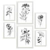 POSTER Set Mit 6 Blühende Blumen Natur Und Botanikdrucke Mit Blumenmotiven In Klassischem Schwarz Und Weiß Innenarchitektur A3 & A4 Weißer Rahmen - Weiß, Papier (29/3cm) - Nacnic