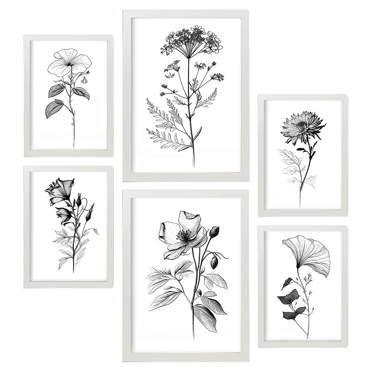 POSTER Set Mit 6 Blühende Blumen Natur Und Botanikdrucke Mit Blumenmotiven In Klassischem Schwarz Und Weiß Innenarchitektur A3 & A4 Weißer Rahmen - Weiß, Papier (29/3cm) - Nacnic