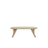 COUCHTISCH Quenza Braun 120/65/40 cm - Hellbraun, Holz (120/65/40cm) - Light & Living