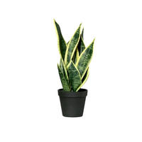 KÜNSTLICHE Sanseveria - Ares 40 cm - Gelb, Kunststoff (40cm) - aplanta