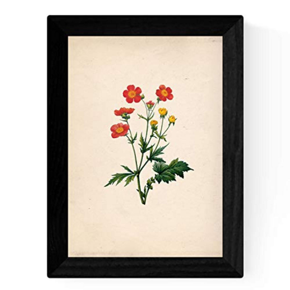 POSTER Set mit 4 Botanischen Stils Sensitive A3 Rahmenlos - Klar, Papier (29.7/3cm) - Nacnic