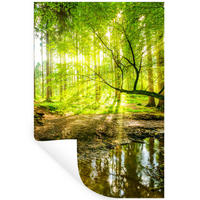 WANDTATTOO Wald - Landschaft - Wasser - Bäume - Sonne - Grün - Natur 80x120 cm - Grün, Kunststoff (80/120/0.1cm) - MuchoWow