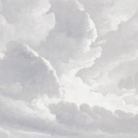 FOTOTAPETE Wolken 318 x 280 cm - Grau, Papier (318/280cm) - Sanders & Sanders