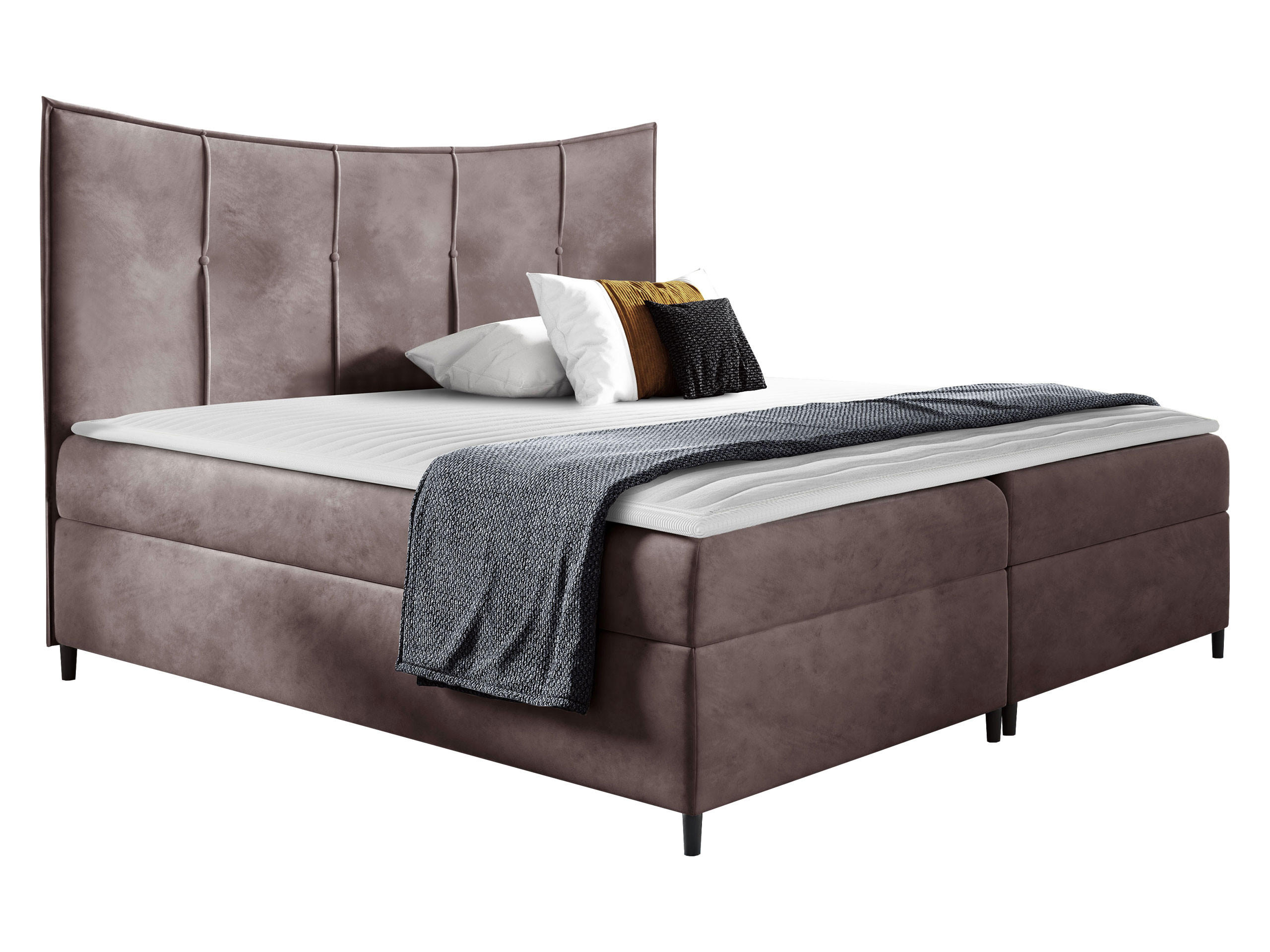 BOXBETT Bergamo - Violett, Holz (120/200cm) - MIRJAN24