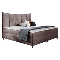 BOXBETT Bergamo - Violett, Holz (180/200cm) - MIRJAN24