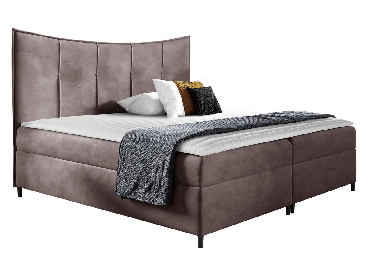 BOXBETT Bergamo - Violett, Holz (180/200cm) - MIRJAN24