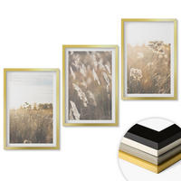 WANDBILDER 3er Set - 40x60 cm Goldrahmen - Landschaftsgrasblumen Wärme - Goldfarben, Kunststoff (40/60cm) - ArtPrintCave