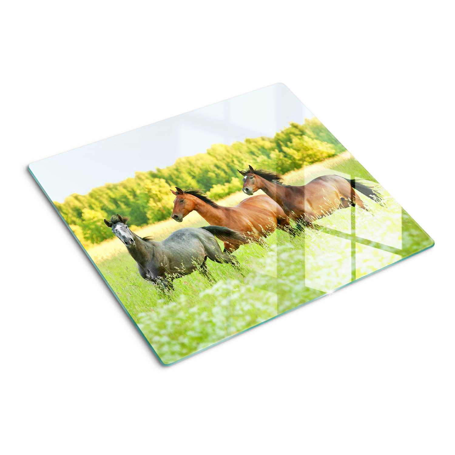 GLASPLATTE 60x52 cm Galoppierende Pferde - Grün, Glas (60/52cm) - TULUP
