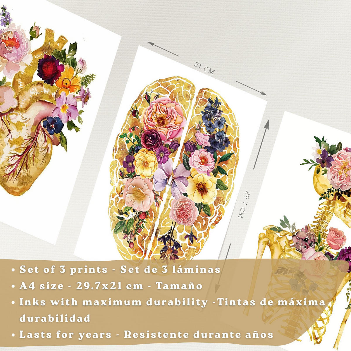 POSTER Set aus 3 Anatomie Mensch Drucke und Wandbilder mit Herz Gehirn und Skelett Goldenes Florales Design Wanddekoration Größe Weißer Rahmen A4 - Weiß, Papier (21/29.7/3cm) - Nacnic