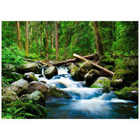 FOTOTAPETE Wasserfall 3D Natur 300x210 - Multicolor, Papier (300/210cm) - Wallarena
