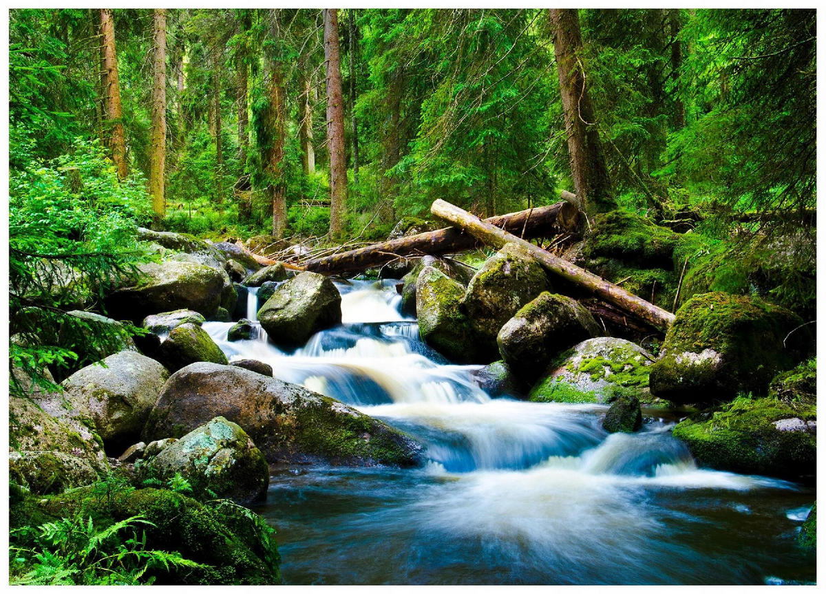 FOTOTAPETE Wasserfall 3D Natur 300x210 - Multicolor, Papier (300/210cm) - Wallarena