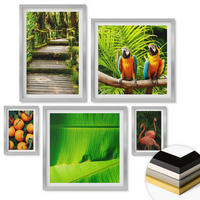 WANDBILDER 5er Set - 50x50 cm & 20x30 cm & 40x60 cm Silberner Rahmen - Fruchtige Akzente der Tropen - Silberfarben, Kunststoff (40/60cm) - ArtPrintCave
