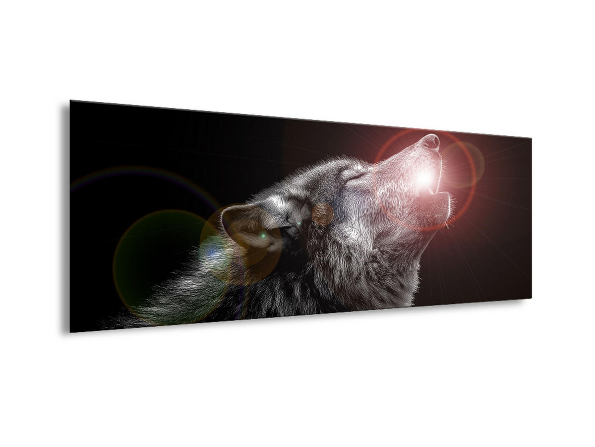 GLASBILD 80x30 cm Wolf schwarz weiß - Schwarz/Weiß, Glas (80/30cm) - artissimo