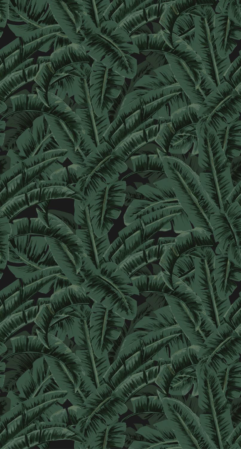 FOTOTAPETE Bananenblätter 150 x 279 cm - Grün, Papier (150/279cm) - ESTAhome