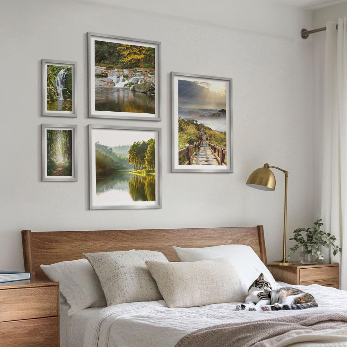 BILDER SET 5er Set - 50x50 cm & 20x30 cm & 40x60 cm Silberner Rahmen - Grüne Blätter von eleganten Sukkulenten - Silberfarben, Kunststoff (40/60cm) - TULUP