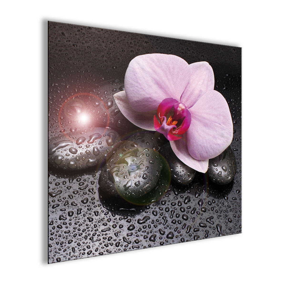 GLASBILD 30×30 cm Orchidee Zen Spa - Anthrazit, Glas (30/30cm) - artissimo