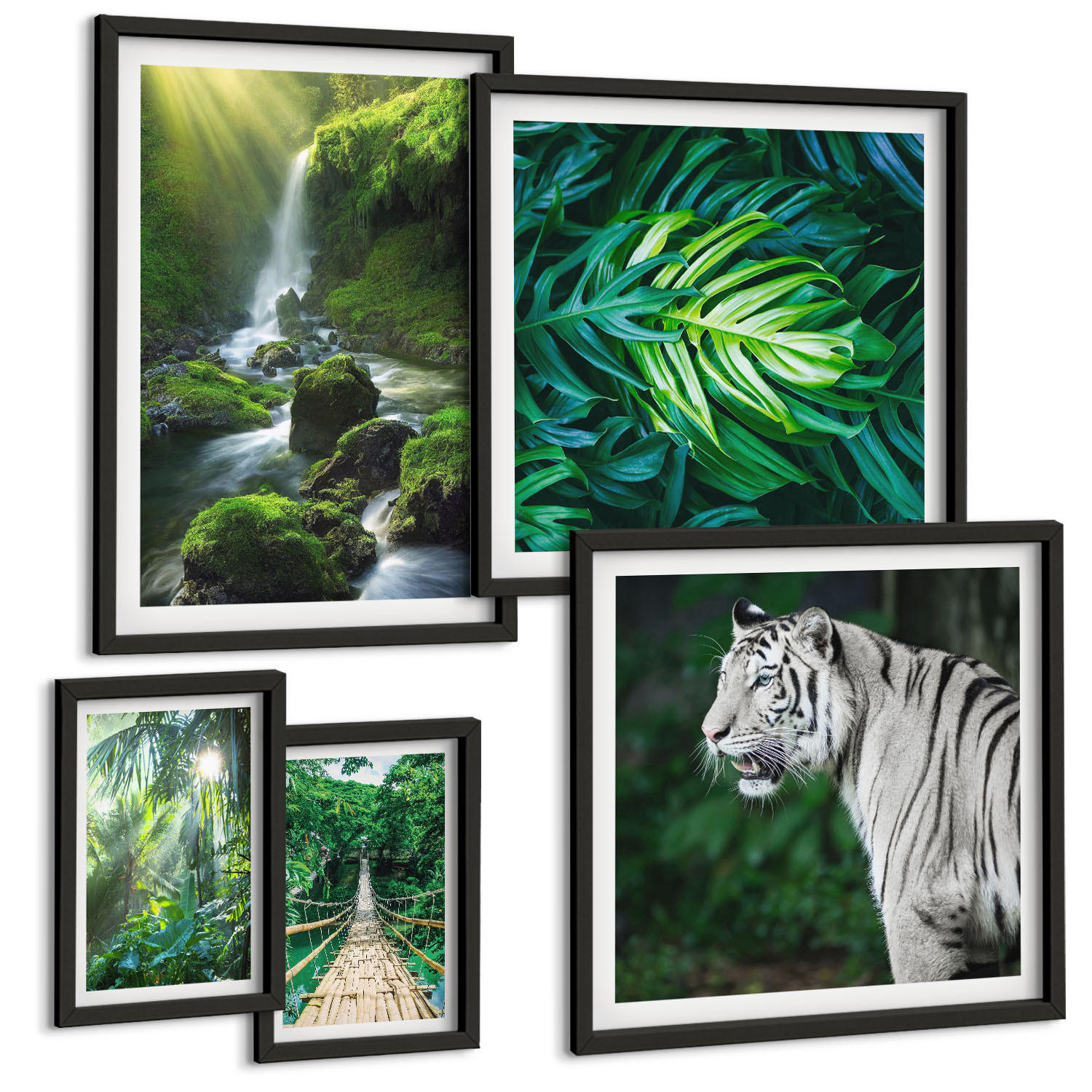 BILDER SET 5er Set - 50x50 cm & 20x30 cm & 40x60 cm Schwarzer Rahmen - Dschungel-Weißtiger-Wasserfall - Schwarz, Kunststoff (40/60cm) - TULUP