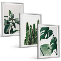BILDER SET 3er Set - 40x60 cm Silberner Rahmen - Tropische ästhetische Pflanzen - Silberfarben, Kunststoff (40/60cm) - TULUP