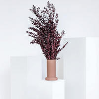 EUKALYPTUS Pavi - der Schicke - rot / 60 cm - Weinrot, Naturmaterialien (60cm) - Lykke & You