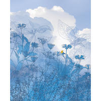 FOTOTAPETE blauer Himmel 200 x 250 cm - Blau, Papier (200/250cm) - Sanders & Sanders