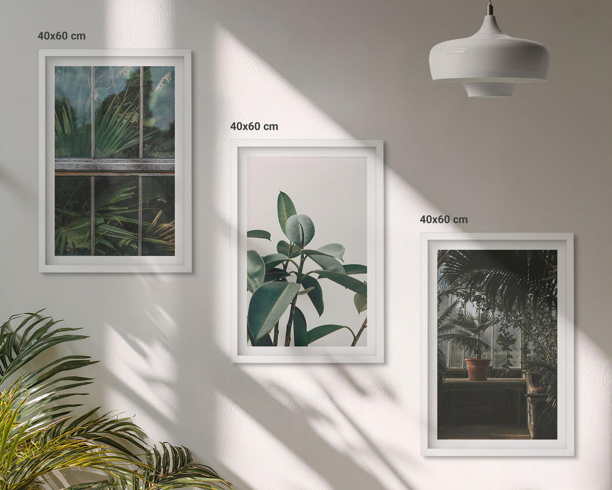 WANDBILDER 3er-Set - 40x60 cm Weißer Rahmen - Grüne Blätter an der Fensterpflanze - Weiß, Kunststoff (40/60cm) - ArtPrintCave