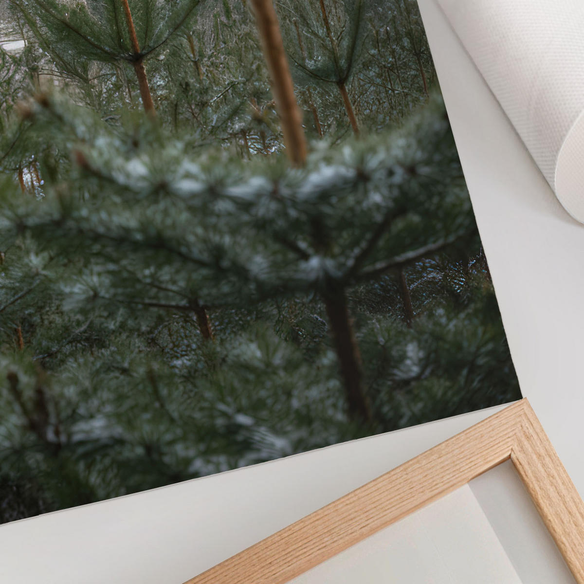 POSTER - 42x59 cm - digitalPhoto - Grüne Nadelbäume - Grün, Textil (42/59/0.1cm) - TULUP