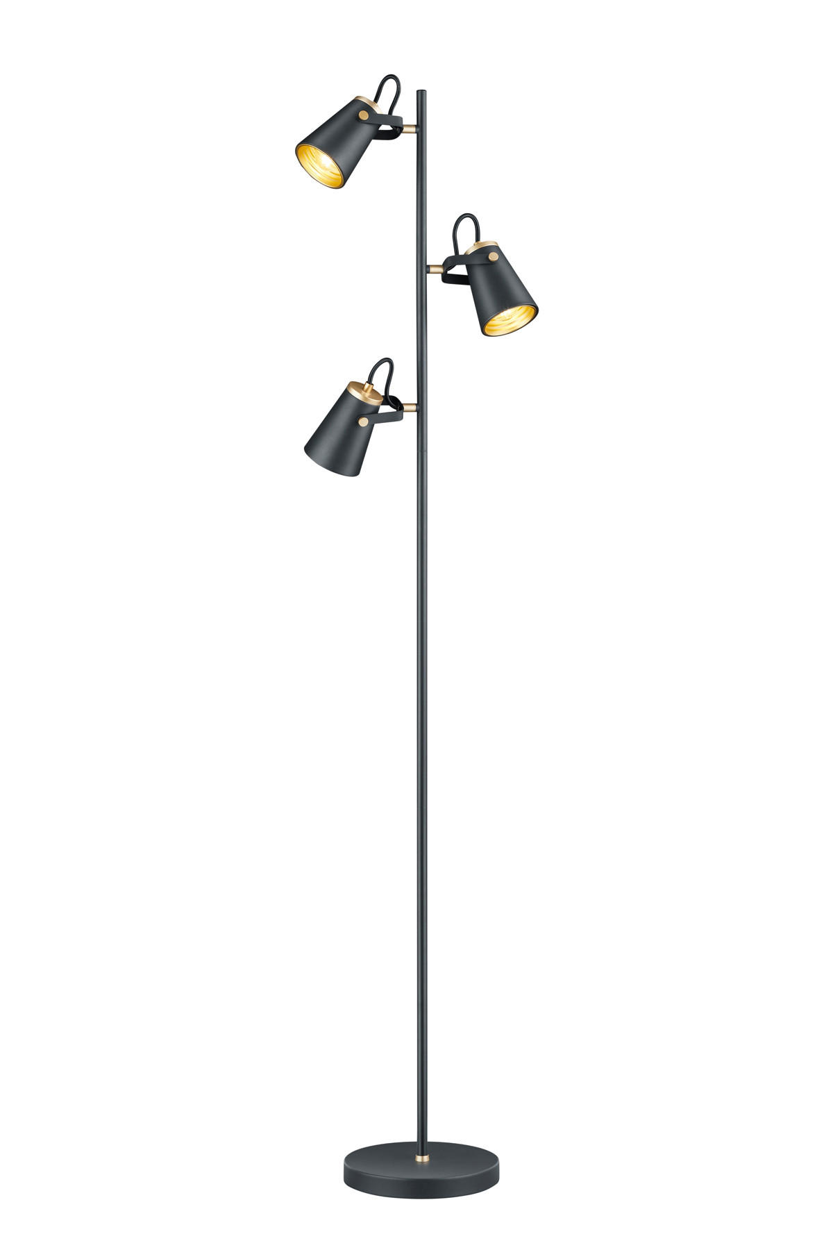 STEHLAMPE EDWARD - Schwarz - 0/0/160 cm - Schwarz, Metall (38/38/160cm) - Trio Leuchten