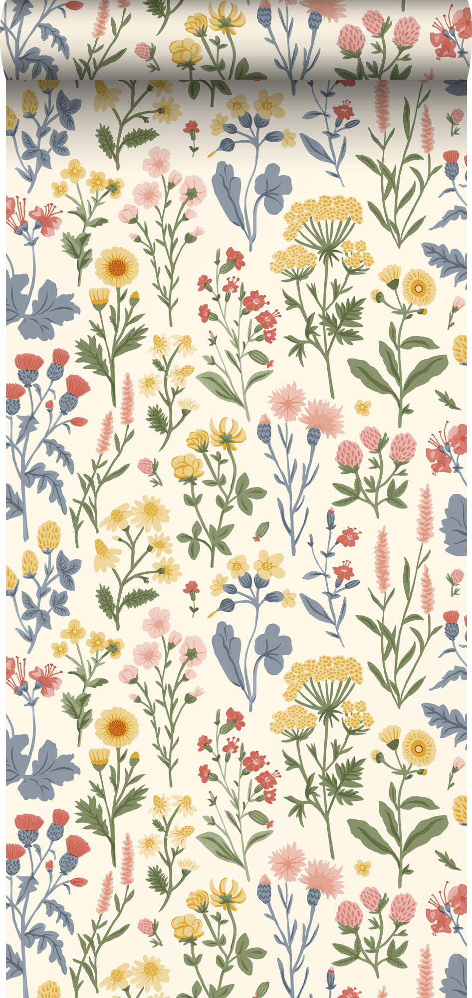 TAPETE Feldblumen 50 x 900 cm - Weiß, Papier (50/900cm) - Sanders & Sanders