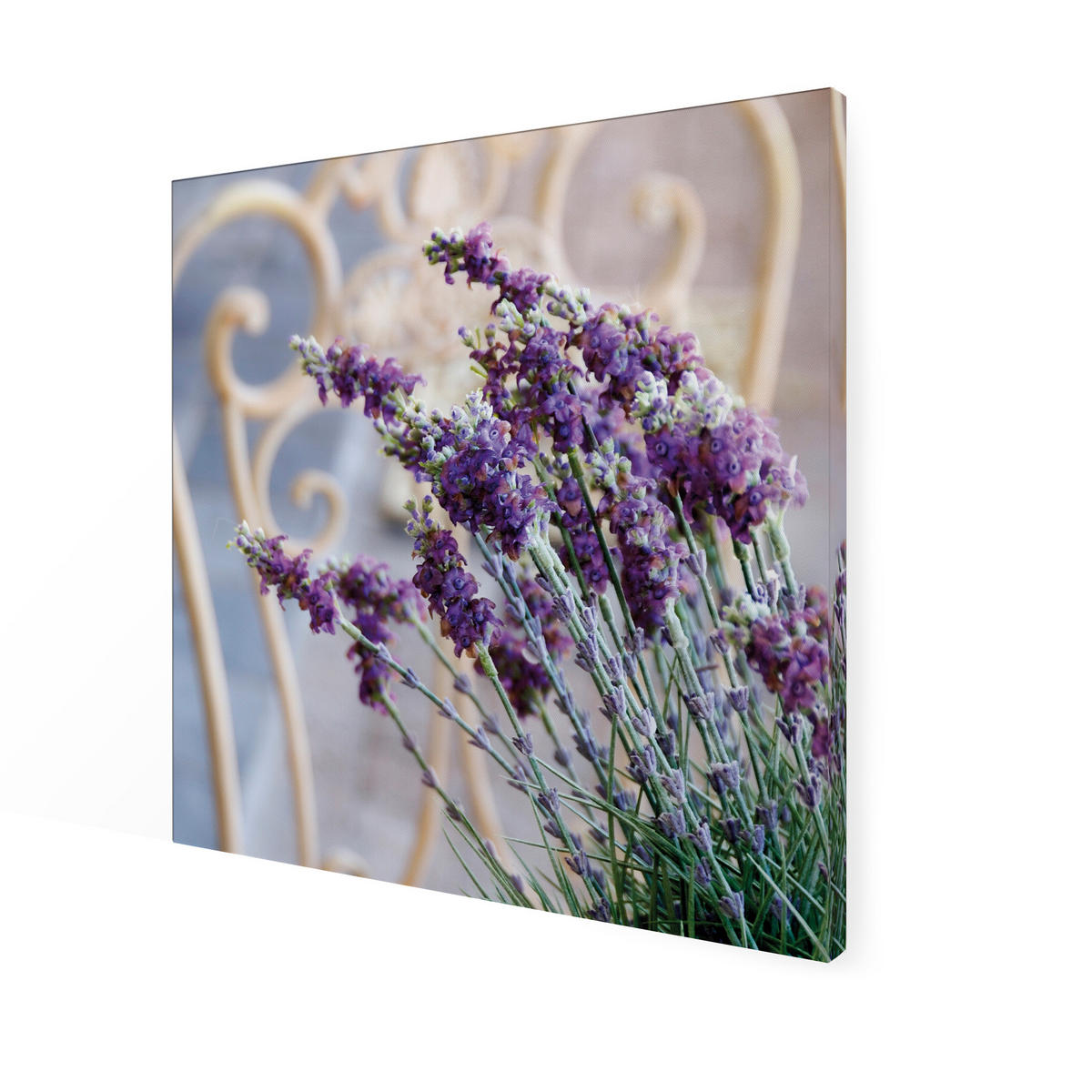 LEINWANDBILD Lavendel Harmonie - 50x50cm - Lila, Textil (50/1cm) - Art for the Home