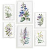 POSTER Set Mit 6 Botanische Lilien Größe A3 & A4 Weißer Rahmen - Weiß, Papier (29.7/1cm) - Nacnic