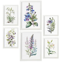 POSTER Set Mit 6 Botanische Lilien Größe A3 & A4 Weißer Rahmen - Weiß, Papier (29.7/1cm) - Nacnic