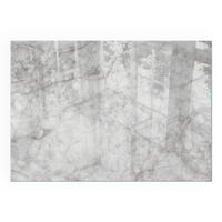 GLASPLATTE für Kamin 100x70 cm - Grau, Glas (100/70/0.4cm) - TULUP