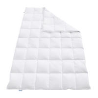 DAUNENBETTDECKE REGINA 200x220cm Wärmegrad: leicht - Weiß, Textil (200/220cm) - REGINA HOME SLEEP LIVING EST. 1967