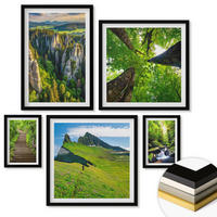 WANDBILDER 5er-Set - 50x50 cm & 20x30 cm & 40x60 cm Schwarzer Rahmen - Grüne Berge Wasserfallwald - Schwarz, Kunststoff (40/60cm) - ArtPrintCave
