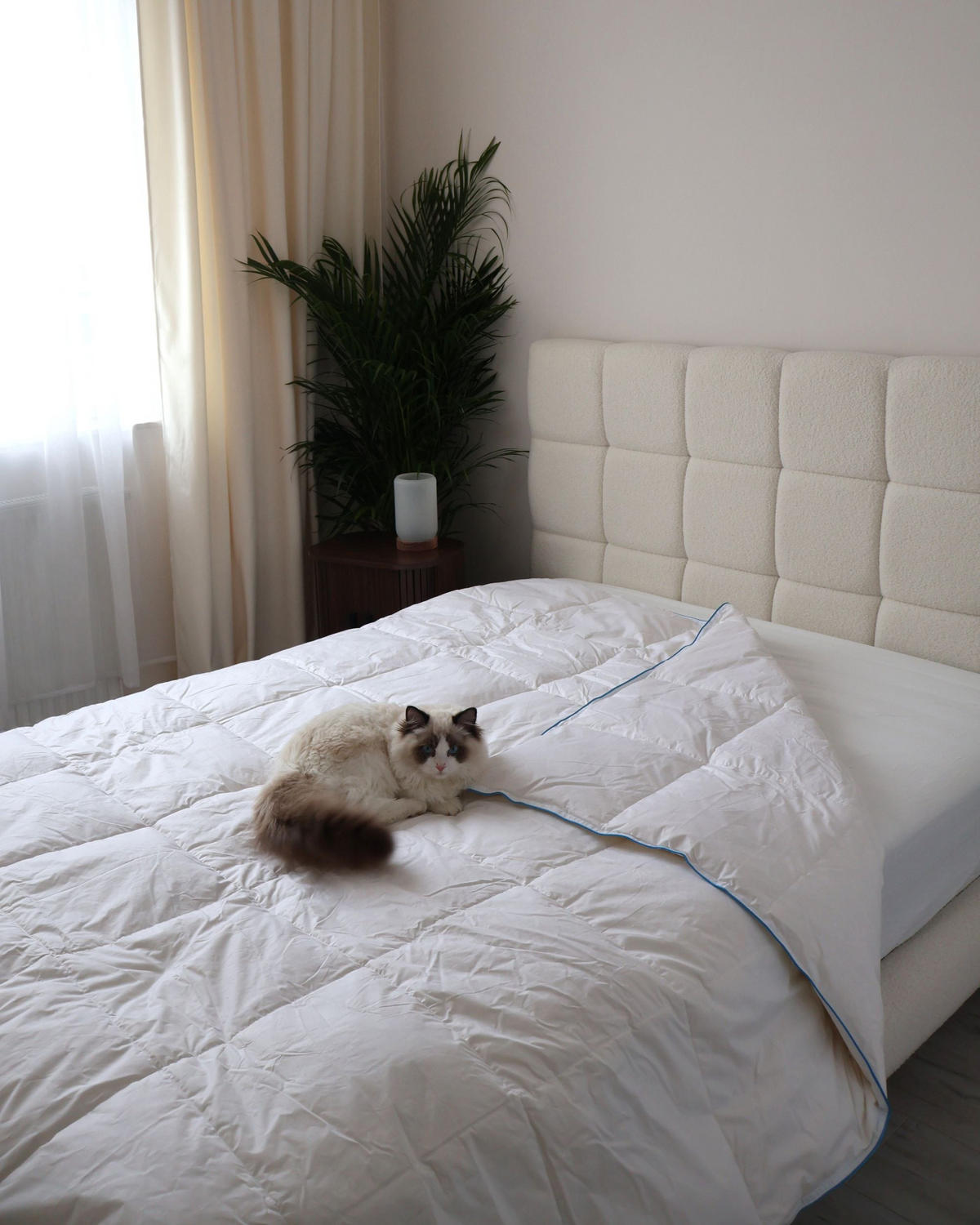 PŘIKRÝVKA Kachní peří a Prachové peří Lehká Teplá 200/200 cm Cervino - bílá, textil (200/200cm) - Beliani