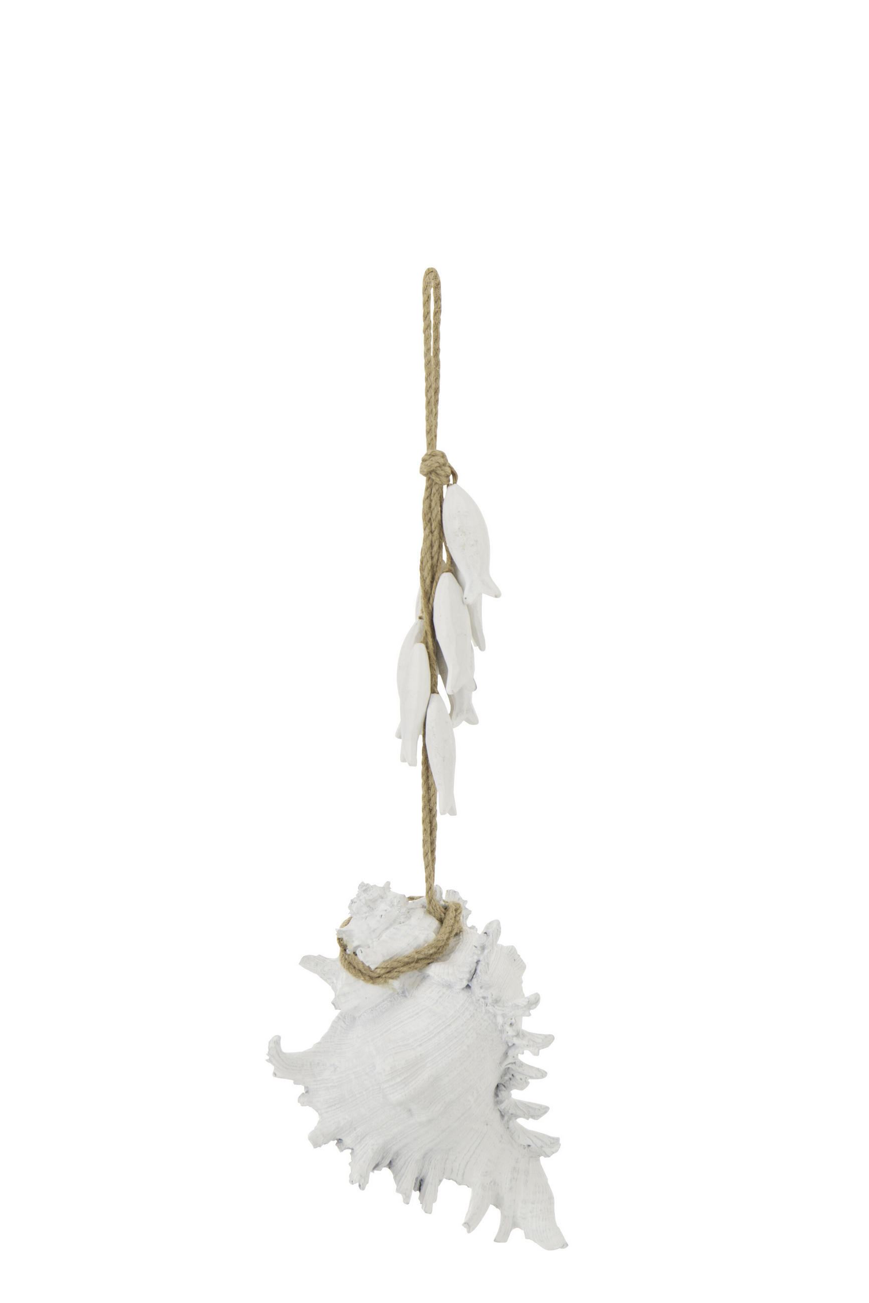 AUFHÄNGER MUSCHEL (2ER SET) - Weiß, Holz (16/12/22cm) - J-Line