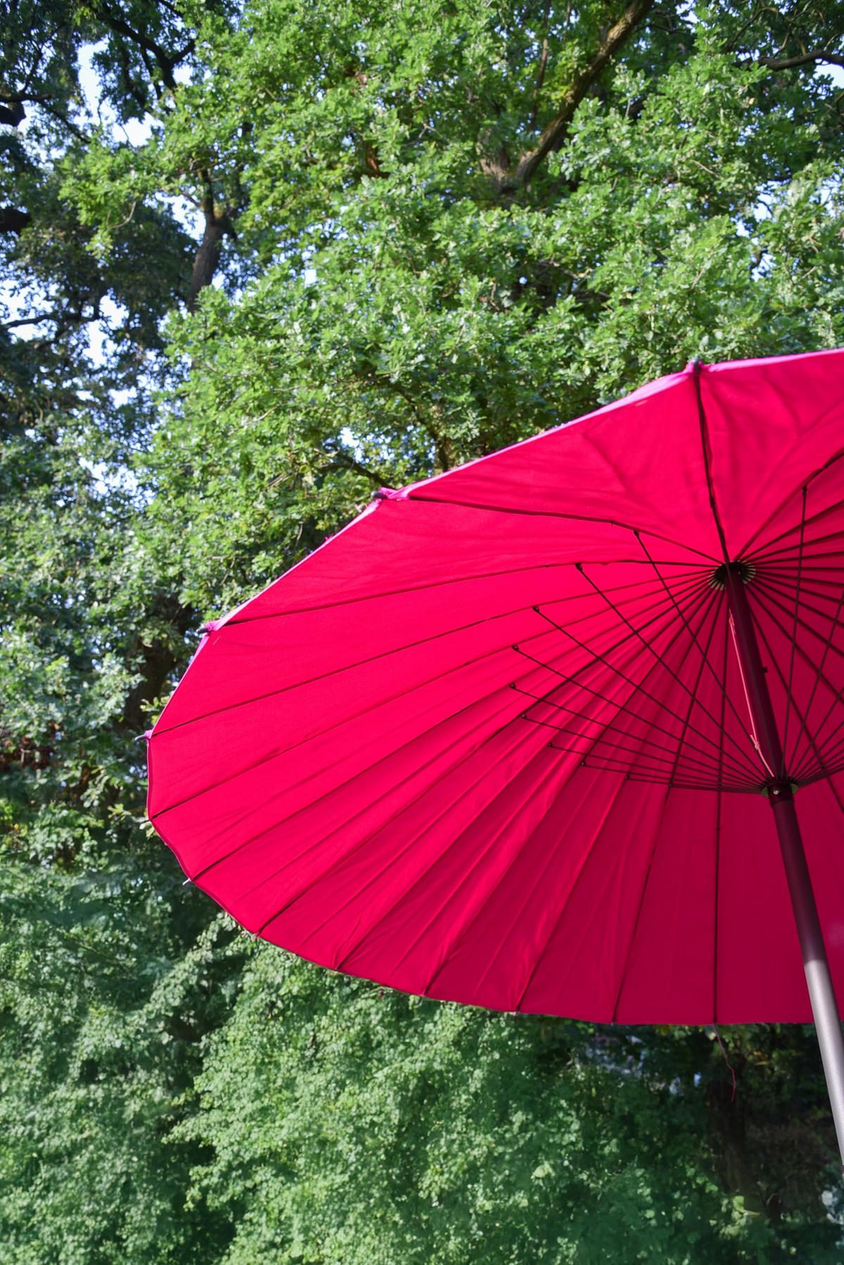 SONNENSCHIRM Zarbes mit 24 Streben Pink Gartenschirm - Pink, Kunststoff (255/255cm) - DELUKE
