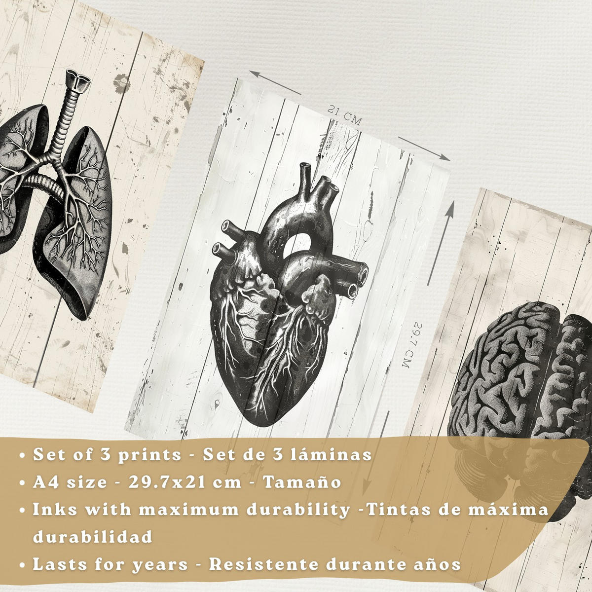 POSTER Set aus 3 Anatomie Mensch Drucke und Wandbilder mit Gehirn Herz Lungen Luftröhre Bronchien Industrielles Schwarz Weiß Design Größe Rahmenlos A4 - Klar, Papier (21/29.7/3cm) - Nacnic