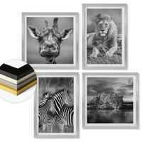 WANDBILDER 4er Set - 50x50 cm & 40x60 cm Silberner Rahmen - Wildtiere Löwe Jaguar Giraffe Zebras - Silberfarben, Kunststoff (50/50cm) - ArtPrintCave