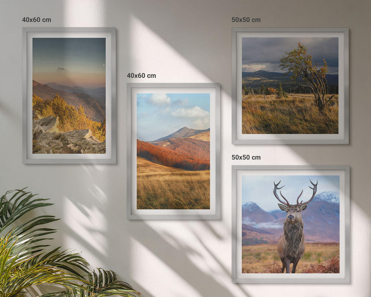 BILDER SET 4er Set - 50x50 cm & 40x60 cm Silberner Rahmen - Berglandschaften, Hirschgras - Silberfarben, Kunststoff (50/50cm) - TULUP