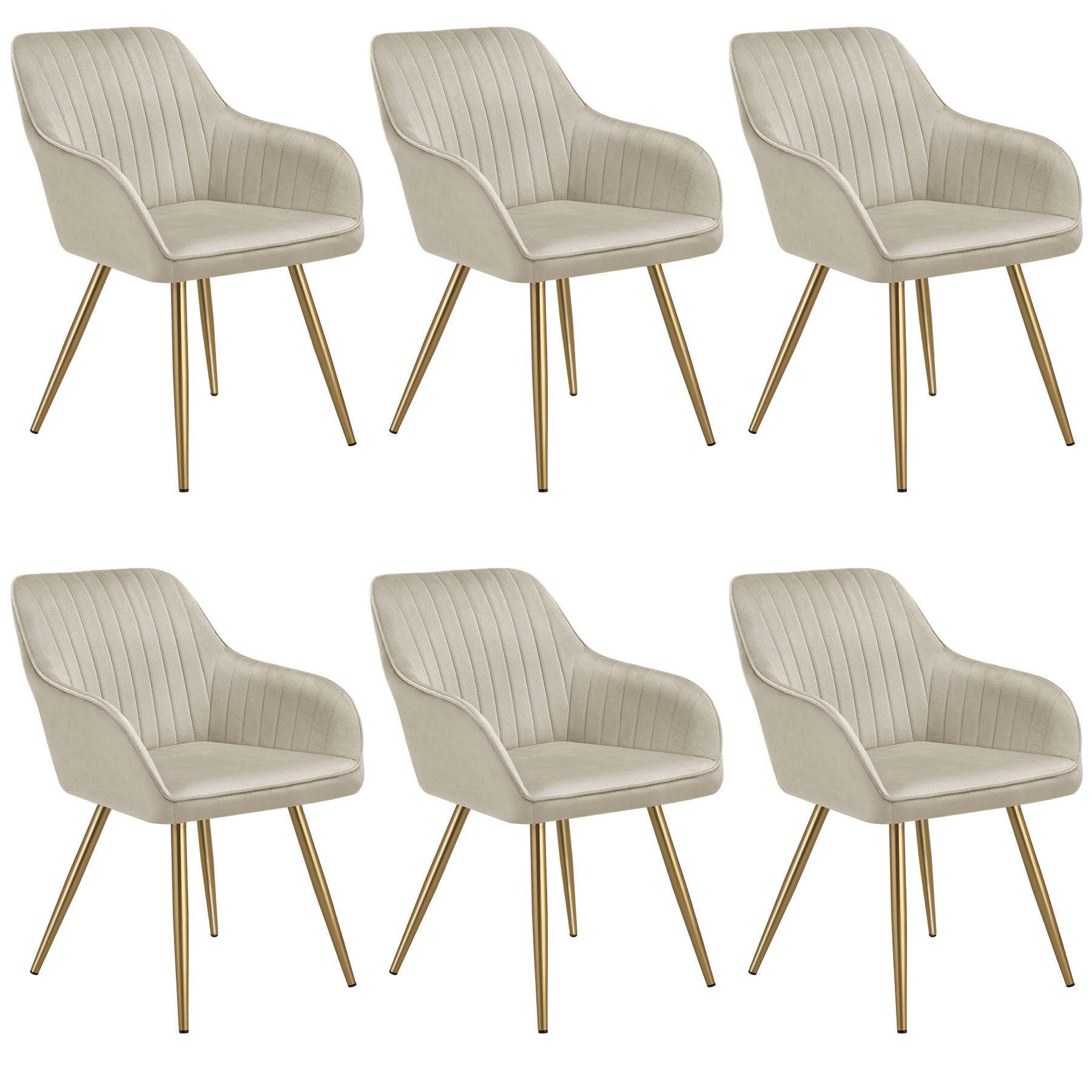 ESSZIMMERSTUHL 6er Set Marilyn 58 x 62 x 82 cm creme/gold - Goldfarben/Creme, Kunststoff (58/82/62cm) - tectake