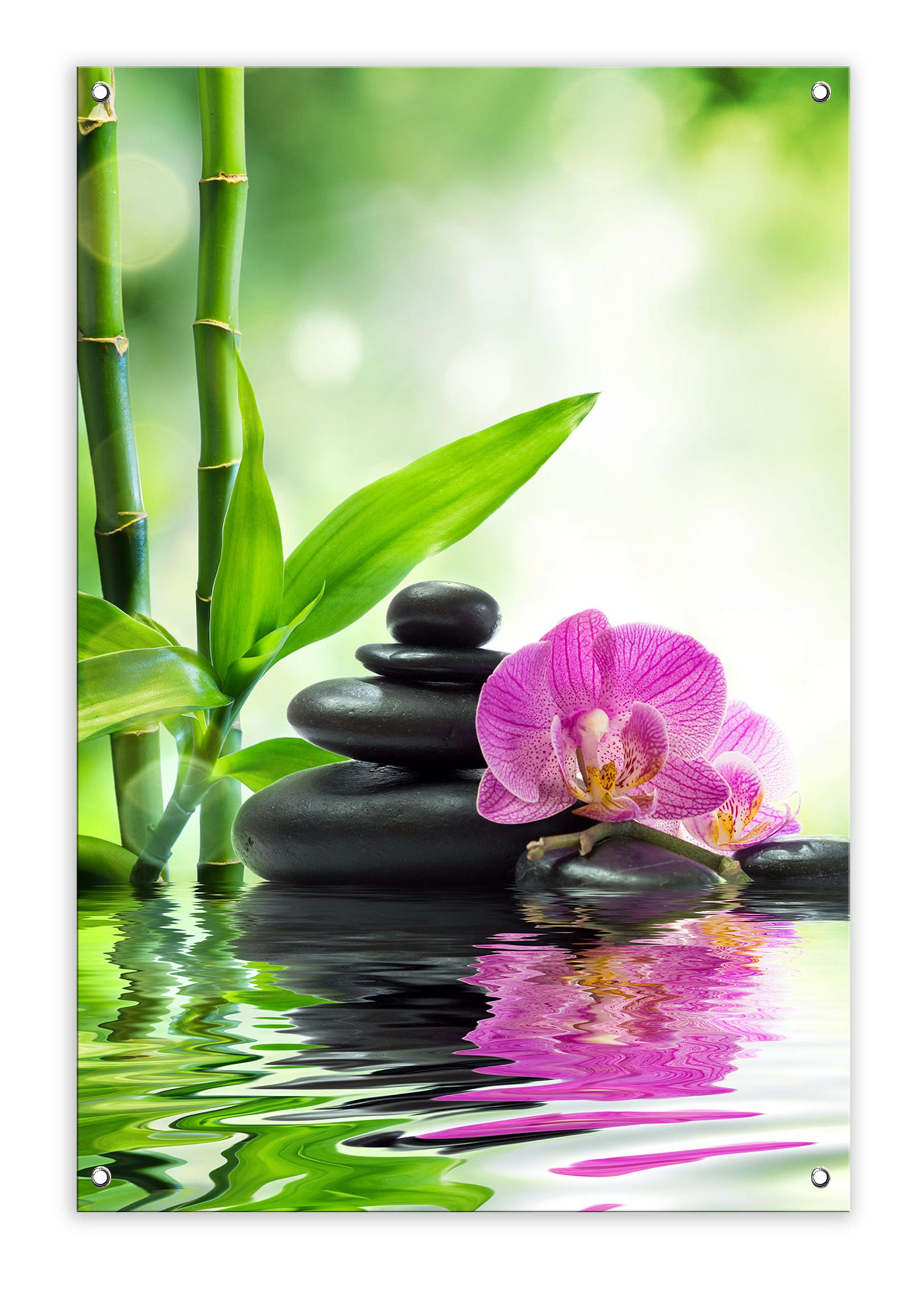 GARTEN-POSTER 90x60 cm Gartendeko: Zen - Rosa, Kunststoff (60/90/2cm) - artissimo